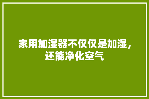 家用加湿器不仅仅是加湿，还能净化空气