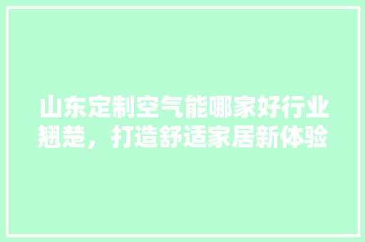 山东定制空气能哪家好行业翘楚，打造舒适家居新体验