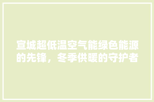 宣城超低温空气能绿色能源的先锋，冬季供暖的守护者 厨房维修