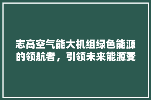 志高空气能大机组绿色能源的领航者，引领未来能源变革 家电维修