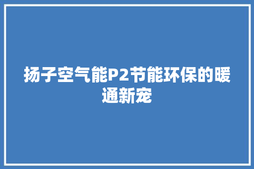 扬子空气能P2节能环保的暖通新宠