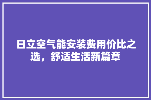 日立空气能安装费用价比之选，舒适生活新篇章