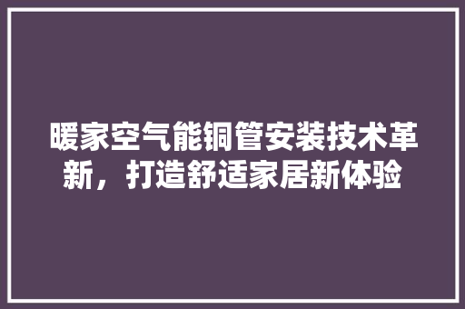 暖家空气能铜管安装技术革新，打造舒适家居新体验 墙体维修