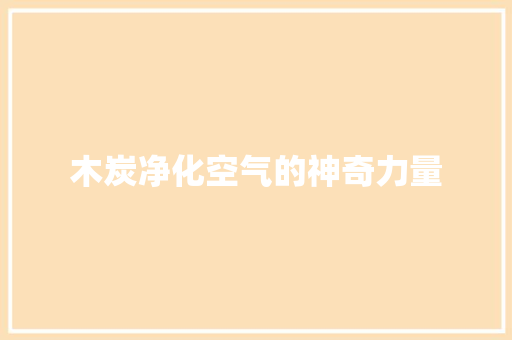 木炭净化空气的神奇力量 汽车维修