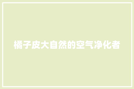 橘子皮大自然的空气净化者