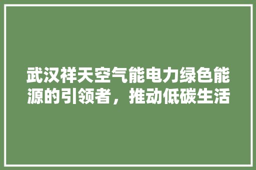 武汉祥天空气能电力绿色能源的引领者，推动低碳生活新风尚