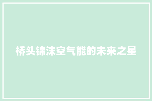 桥头锦沫空气能的未来之星