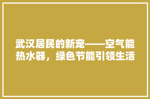 武汉居民的新宠——空气能热水器，绿色节能引领生活新风尚