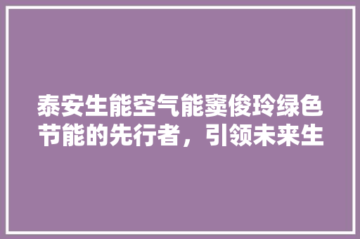 泰安生能空气能窦俊玲绿色节能的先行者，引领未来生活新风尚 厨房维修