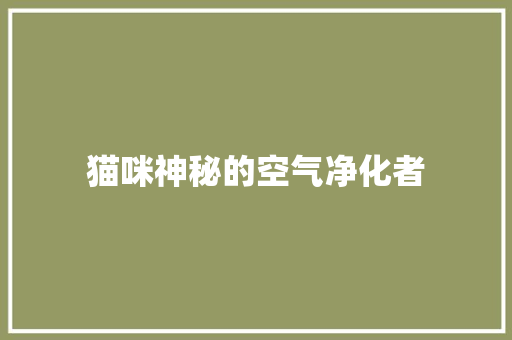 猫咪神秘的空气净化者