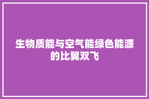 生物质能与空气能绿色能源的比翼双飞