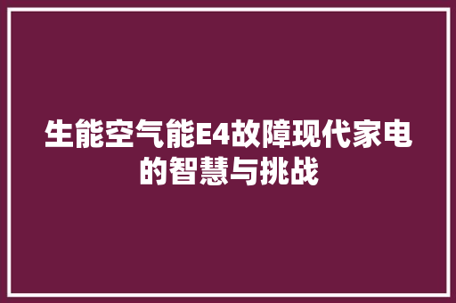 生能空气能E4故障现代家电的智慧与挑战 厨房维修