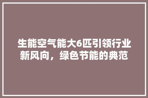 生能空气能大6匹引领行业新风向，绿色节能的典范