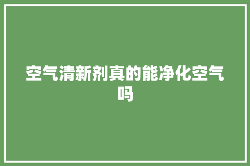 空气清新剂真的能净化空气吗