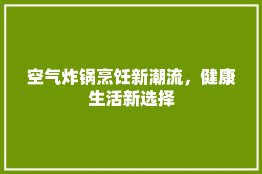 空气炸锅烹饪新潮流，健康生活新选择 厨房维修
