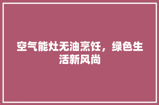 空气能灶无油烹饪，绿色生活新风尚