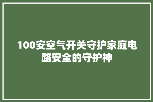100安空气开关守护家庭电路安全的守护神 汽车维修