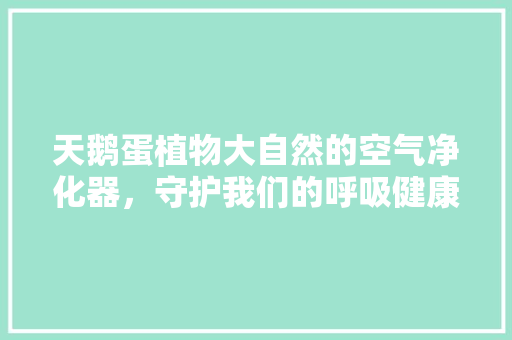 天鹅蛋植物大自然的空气净化器，守护我们的呼吸健康 家电维修