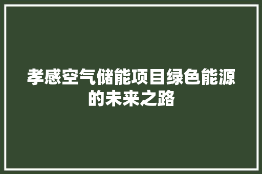 孝感空气储能项目绿色能源的未来之路 综合便民