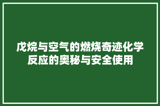 戊烷与空气的燃烧奇迹化学反应的奥秘与安全使用 综合便民