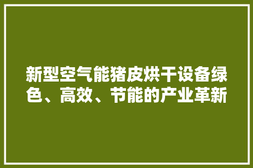 新型空气能猪皮烘干设备绿色、高效、节能的产业革新 厨房维修