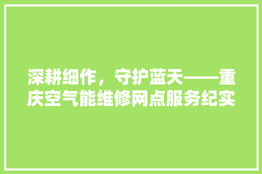 深耕细作，守护蓝天——重庆空气能维修网点服务纪实 综合便民