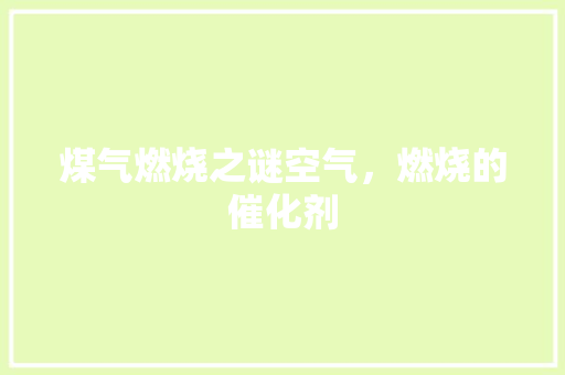 煤气燃烧之谜空气，燃烧的催化剂 家电维修