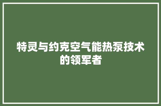 特灵与约克空气能热泵技术的领军者 墙体维修
