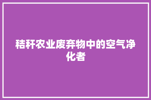 秸秆农业废弃物中的空气净化者