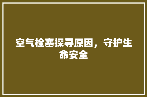 空气栓塞探寻原因，守护生命安全 汽车维修
