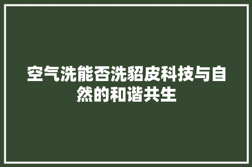 空气洗能否洗貂皮科技与自然的和谐共生 墙体维修