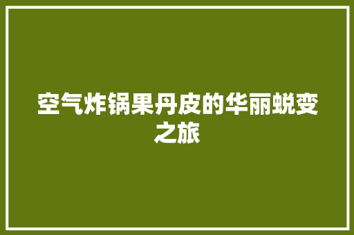 空气炸锅果丹皮的华丽蜕变之旅