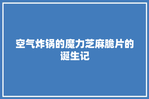 空气炸锅的魔力芝麻脆片的诞生记 厨房维修