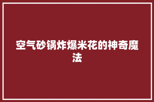 空气砂锅炸爆米花的神奇魔法 综合便民