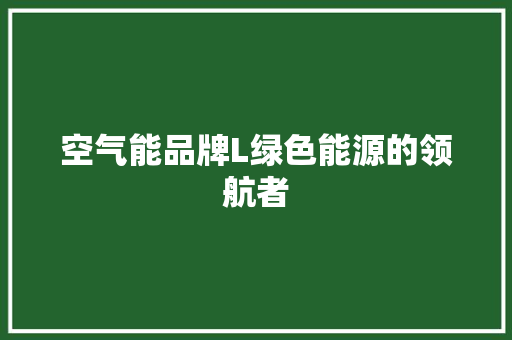 空气能品牌L绿色能源的领航者