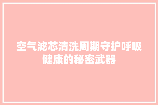 空气滤芯清洗周期守护呼吸健康的秘密武器
