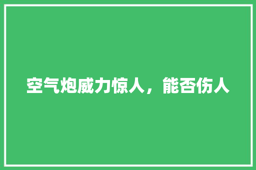 空气炮威力惊人，能否伤人
