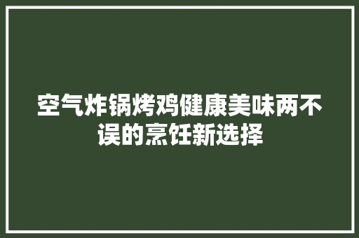 空气炸锅烤鸡健康美味两不误的烹饪新选择