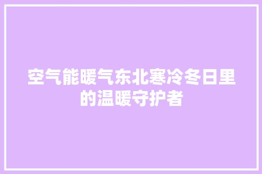 空气能暖气东北寒冷冬日里的温暖守护者
