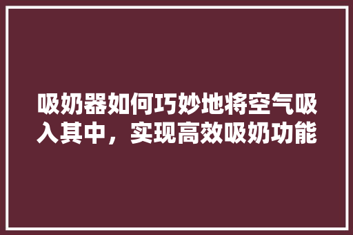 吸奶器如何巧妙地将空气吸入其中，实现高效吸奶功能 厨房维修
