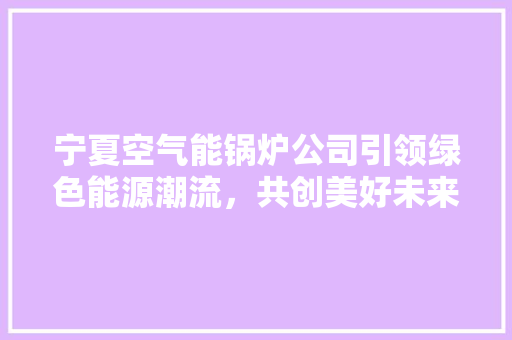 宁夏空气能锅炉公司引领绿色能源潮流，共创美好未来 墙体维修