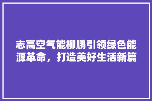 志高空气能柳鹏引领绿色能源革命，打造美好生活新篇章 汽车维修
