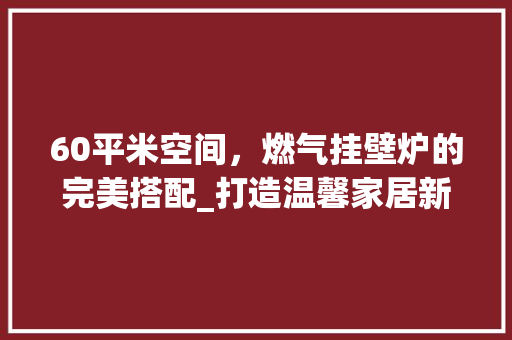 60平米空间，燃气挂壁炉的完美搭配_打造温馨家居新选择_60平米多大的燃气挂壁炉 60平米空间，燃气挂壁炉的完美搭配_打造温馨家居新选择_60平米多大的燃气挂壁炉 家电维修