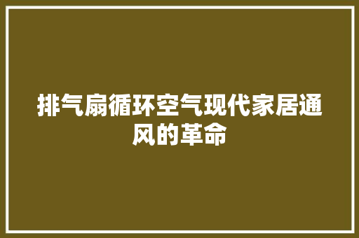 排气扇循环空气现代家居通风的革命