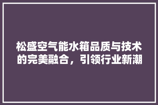 松盛空气能水箱品质与技术的完美融合，引领行业新潮流 厨房维修