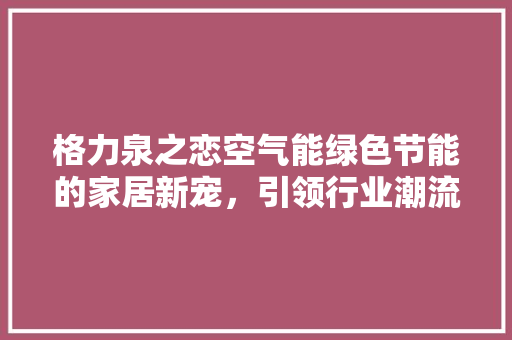 格力泉之恋空气能绿色节能的家居新宠，引领行业潮流