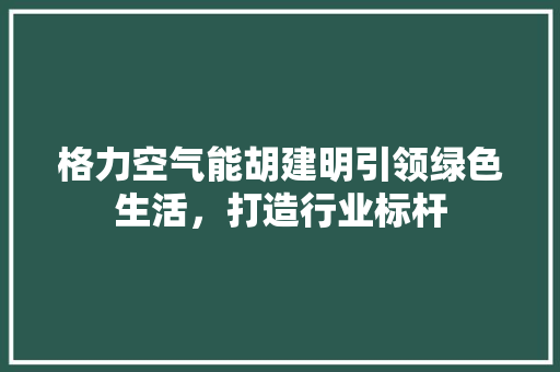 格力空气能胡建明引领绿色生活，打造行业标杆