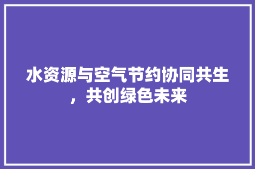 水资源与空气节约协同共生，共创绿色未来 厨房维修