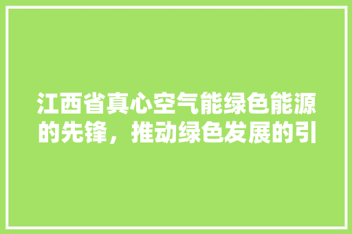 江西省真心空气能绿色能源的先锋，推动绿色发展的引擎 厨房维修