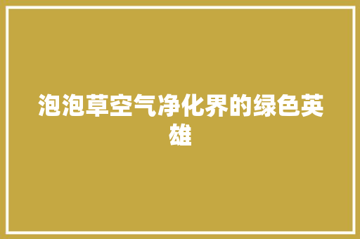 泡泡草空气净化界的绿色英雄